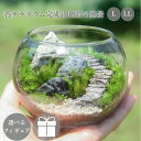 \送料無料/【苔テラリウム 階段の風景 フィギュアなし】 苔テラリウム完成品 父の日 敬老の日 新築