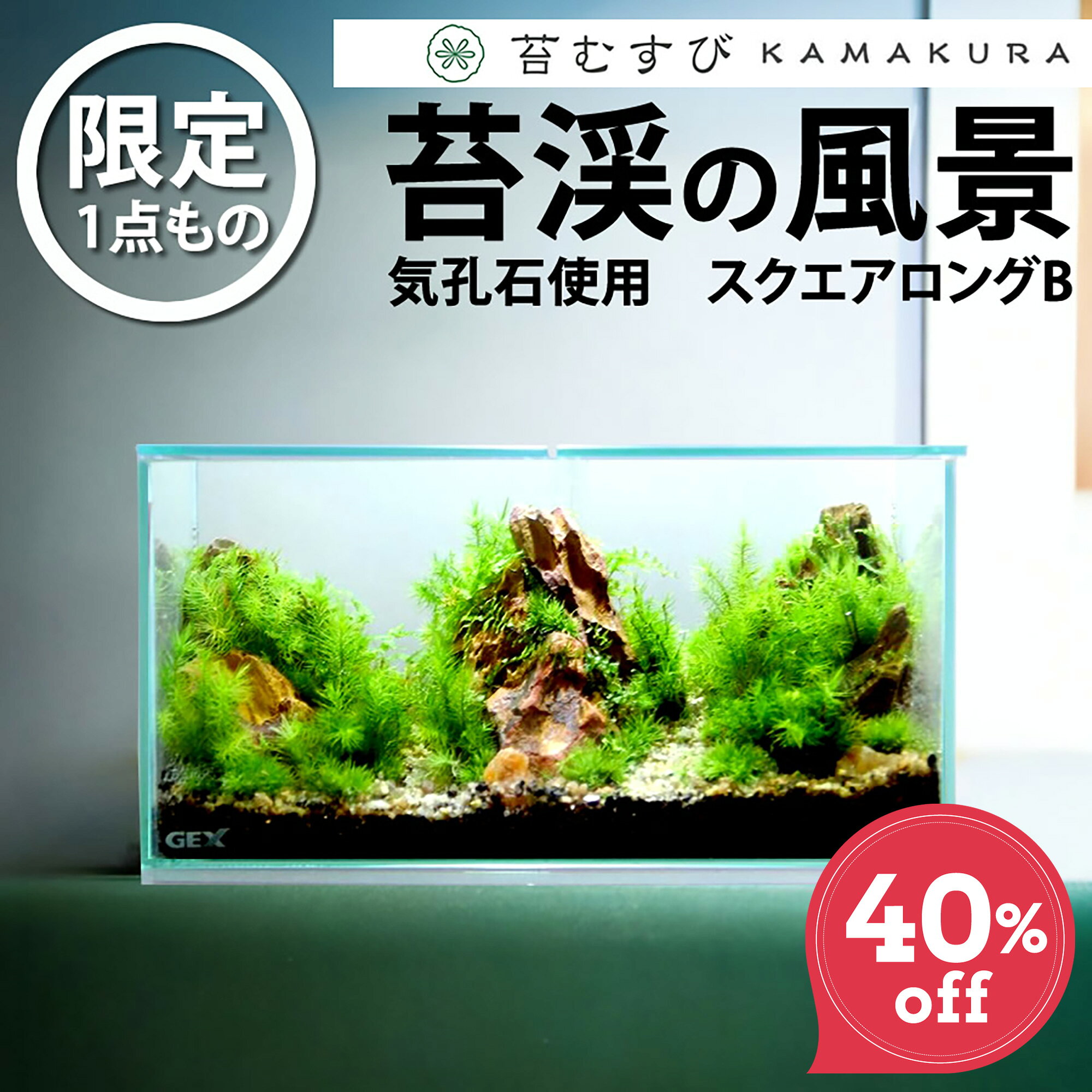 ＜送料無料＞【限定一点 苔渓の風景 スクエアロングB】苔テラリウム 大きい 大型 苔 インテリア テラリウム 一点もの 苔 癒し 観葉植物 インテリア 父の日 リビング 植物 盆栽 室内 ガーデニング 開店祝い 新築祝い 結婚祝い 敬老の日 ギフト プレゼント 鎌倉