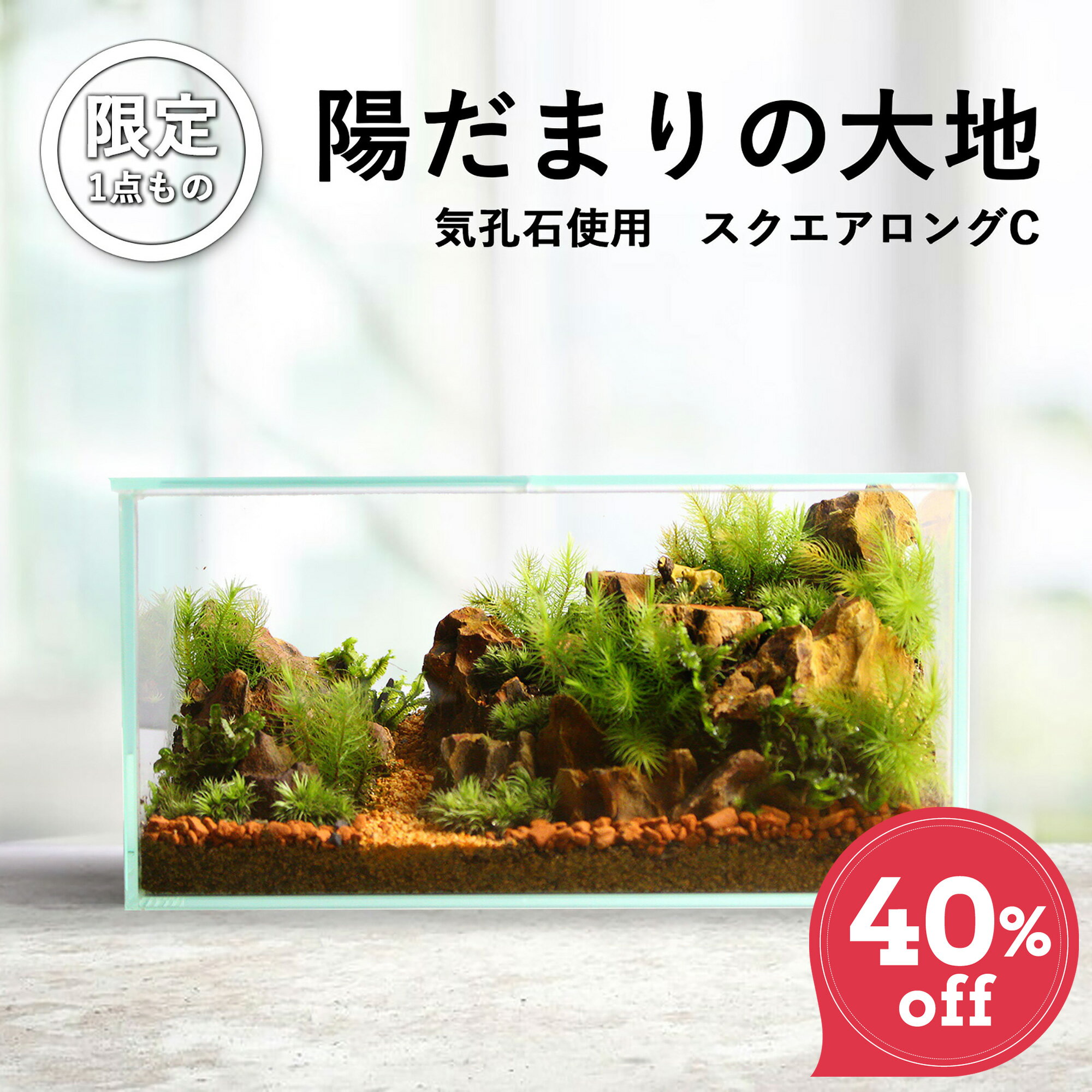 ＜送料無料＞【限定一点 陽だまりの大地 スクエアロングC（フィギュア付）】苔テラリウム 大きい 大型 苔 インテリア 一点もの 苔 癒し 観葉植物 インテリア 父の日 リビング 植物 盆栽 室内 ガーデニング 開店祝い 新築祝い 結婚祝い 敬老の日 ギフト プレゼント