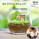 【苔テラリウム完成品 おちょこけ_朱鳥居&地蔵S】苔テラリウム 敬老の日 苔 乾燥に強い 初心者 観葉植物 インテリア リビング 植物 盆栽 室内 園芸 ガーデニング 開店祝い 新築祝い 結婚祝い ギフト プレゼント
