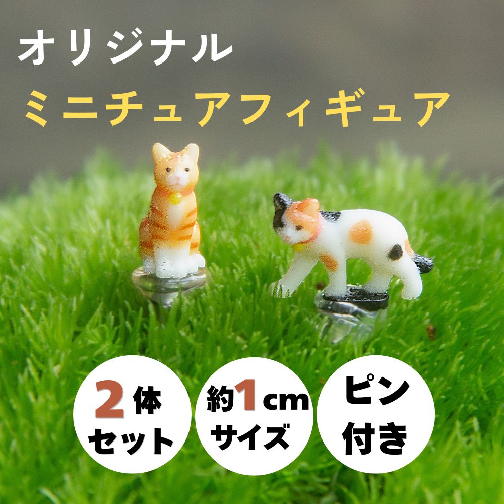 楽天市場】苔 テラリウム 猫の通販
