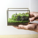 苔テラリウム オオカミの遠吠え フィギュア4パターン メタルフレームL 苔むすび 苔 苔テラリウム作品 インテリア 苔テラリウム完成品 ガラス容器 プレゼント ...