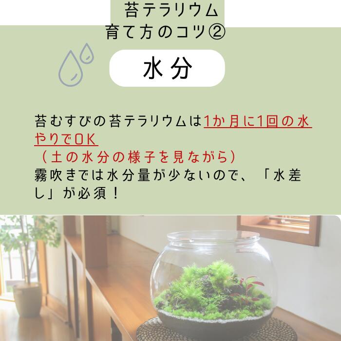 ���ݥƥ�ꥦ���Ѥο�� 500cc��1000cc��1500cc��3���� �ݤ������˰�� �ȥ�֥뤬���� �����줬��ñ