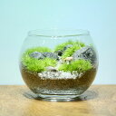 ミニ鹿_渓流 ボウルS《苔テラリウム モスリウム コケリウム》苔むすび　テラリウム　完成品　ホソバオキナゴケ　ミニ　ミニチュア　ジオラマ　フィギュア　園芸　インテリア　癒し　ギフト　プレゼント　観葉植物