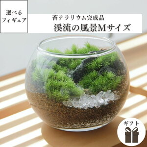 【 苔テラリウム完成品 渓流M 】観葉植物 インテリア 父の日 リビング 植物 盆栽 室内 園芸 ガーデニング 開店祝い 新築祝い 結婚祝い 敬老の日 ギフト プレゼント 鎌倉 苔テラリウム専門店