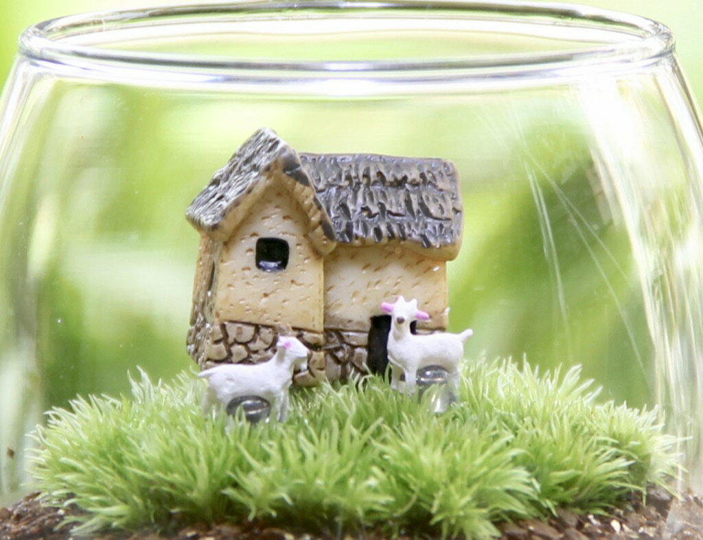 苔むすび『家とヤギおちょこけ』