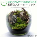 【送料無料 観葉植物 おしゃれ ミニ テラリウム キット コケリウム 苔 コケ 苔テラリウム 苔リウム アクアリウム アクアテラリウム 園芸 ハイドロカルチャー ガーデニング グリーン インテリア 緑 苔盆栽 癒し moss 初心者 パック セット】 コケリウムキット ラウンド