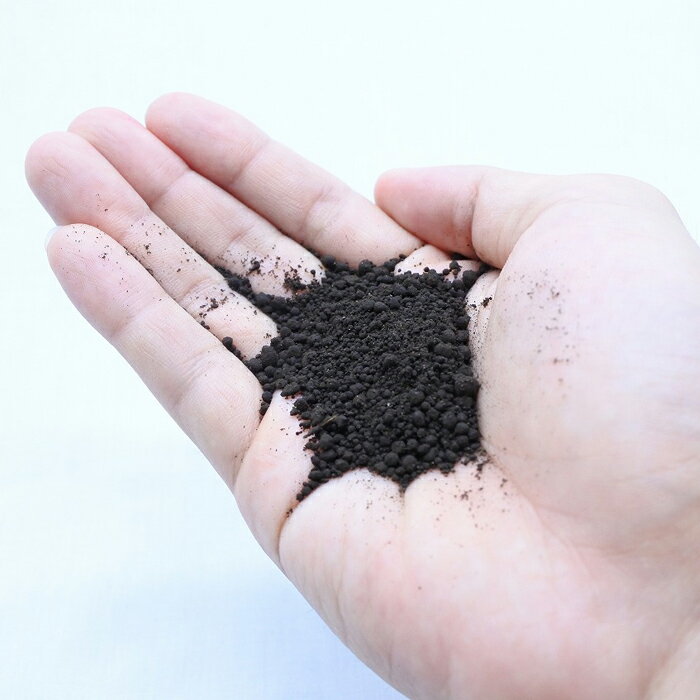 コケを育てるには、コケテラリウム専用の土を使うのがおすすめ。こちらの土は国産の黒土を殺菌処理したもので、きめ細かくて使いやすいです。