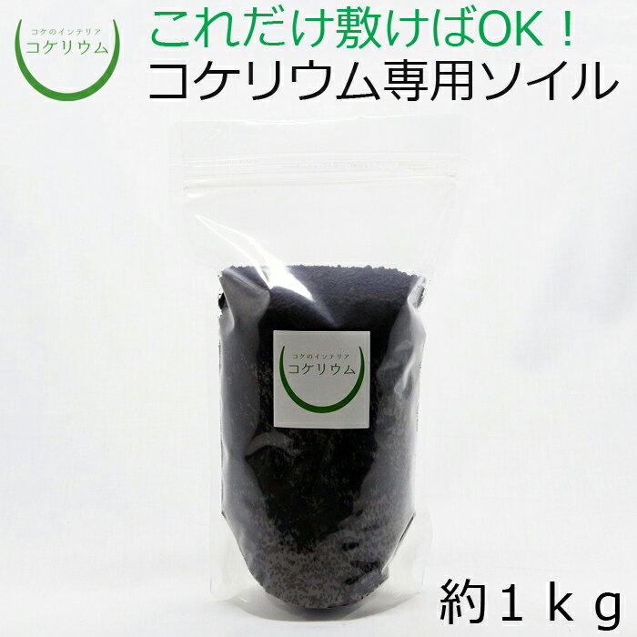 テラリウム コケリウム 苔 コケ 苔テラリウム 苔リウム アクアリウム アクアテラリウム 観葉植物 園芸 ハイドロカルチャー ガーデニング グリーン インテリア 緑 苔盆栽 癒し Moss 初心者 土 底砂 レイアウト パック コケリウム専用ソイル 苔 テラリウムはもう手遅れに テラリウム コケリウム 苔 コケ 苔テラリウム 苔リウム アクアリウム アクアテラリウム 観葉植物 園芸 ハイドロカルチャー ガーデニング グリーン インテリア 緑 苔盆栽 癒し Moss 初心者 土 底砂 レイアウト パック コケリウム専用ソイル 苔 テラリウムはもう手遅れに
