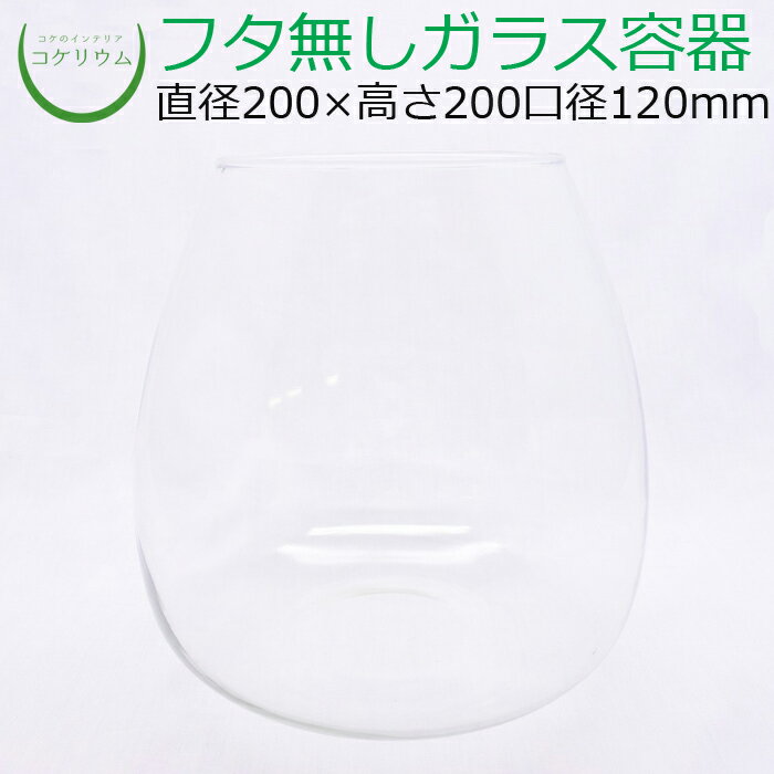 素材：ガラス容器 サイズ(約)：直径200×高さ200mm　口径120mm その他商品説明： コケは当店オリジナルパックを2〜3つご購入いただくのがオススメです。 土は「コケリウム専用ソイル」を2つご購入されるのがオススメです。 ※手造り品のため、ガラス内に小さな気泡が入っている場合や、同じ商品でも容器の厚みや重量に若干の差がございますので予めご了承ください。管理人おすすめ！ 奥行感が出しやすい下部がふくらんだ形状のガラス容器です。 土の量の目安は1.5Lです。