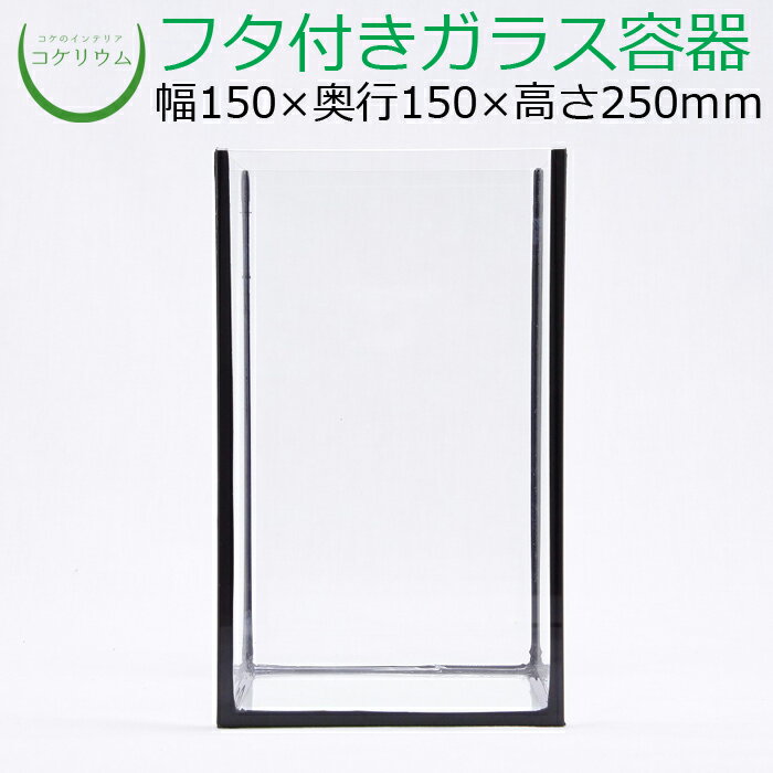 素材：ガラス容器 サイズ(約)：幅150×奥行150×高さ250mm 付属：クッションマット（水槽の下に敷く用）、フタ受け その他商品説明： コケは当店オリジナルパックを1〜2つご購入いただくのがオススメです。 土は「コケリウム専用ソイル」を1つご購入されるのがオススメです。 https://item.rakuten.co.jp/kokerium/10000038/ ※ガラスフタは一辺がコードなどを通せるよう切ってあります。 ※本製品の正式名称は『クリスタルキューブ150HH/B』です。販売者は『コトブキ工芸株式会社』さんです。15cmのキューブ型ガラス容器です。Sサイズと比べて高さがあります。 接合部にブラックシリコンを使用、レイアウトを額縁内の絵画のように魅せます。
