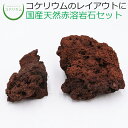 【テラリウム コケリウム 苔 コケ 苔テラリウム 苔リウム アクアリウム アクアテラリウム 観葉植物 園芸 ハイドロカルチャー ガーデニング グリーン インテリ...