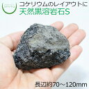 【テラリウム コケリウム 苔 コケ 苔テラリウム 苔リウム アクアリウム アクアテラリウム 観葉植物 園芸 ハイドロカルチャー ガーデニング グリーン インテリ...