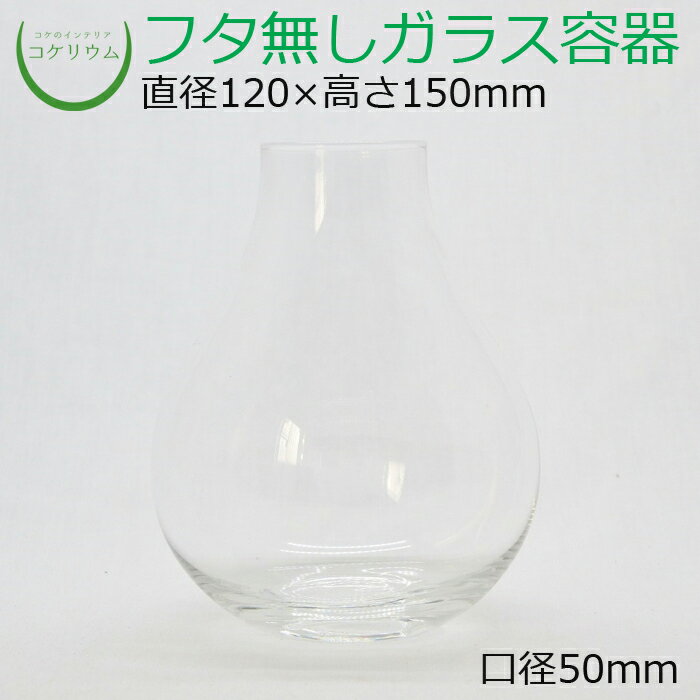 素材：ガラス容器 サイズ(約)：直径120×高さ150mm　口径50mm その他商品説明： ※手造り品のため、ガラス内に小さな気泡が入っている場合や、同じ商品でも容器の厚みや重量に若干の差がございますので予めご了承ください。 ※開口部が狭いので専用のピンセットなどを使ってレイアウトする事をオススメします。手のひらサイズのかわいい壺型ガラス容器です。 容器の中心にシダや背の高いコケを突出させた凸型レイアウトがオススメです。