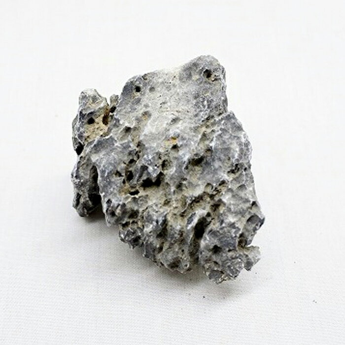 �ڥƥ�ꥦ�� �����ꥦ�� �� ���� �ݥƥ�ꥦ�� �ݥꥦ�� �������ꥦ�� �������ƥ�ꥦ�� ���տ�ʪ ��� �ϥ��ɥ�������㡼 �����ǥ˥� ���꡼�� ����ƥꥢ �� ���ߺ� ���� moss ŷ���� �� �쥤�����ȡ� �Ĳ���SS�ʷ�����Ǥ����