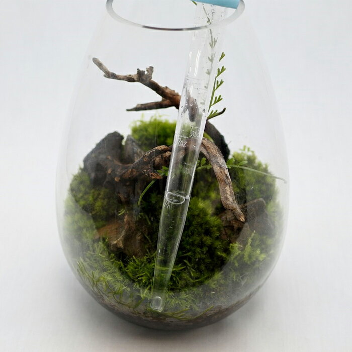 �ڥƥ�ꥦ�� �������ƥ�ꥦ�� �����ꥦ�� �� ���� �ݥƥ�ꥦ�� �ݥꥦ�� �������ꥦ�� ���տ�ʪ ��� �ϥ��ɥ�������㡼 �����ǥ˥� ���꡼�� ����ƥꥢ �� ���ߺ� ���� moss �鿴�ԡ� ¿��Ū��ȴ�����ݥ���