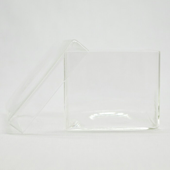 �ڥƥ�ꥦ�� ���饹�ƴ� �����ꥦ�� �� ���� �ݥƥ�ꥦ�� �ݥꥦ�� �������ꥦ�� �������ƥ�ꥦ�� ���� ���տ�ʪ ��� �ϥ��ɥ�������㡼 �����ǥ˥� ���꡼�� ����ƥꥢ �� ���ߺ� ���� moss �鿴�ԡ� �����ꥦ�६�饹�ƴ� ���塼��L�ʥե��ա�