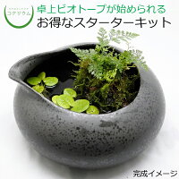 【テラリウム ビオトープ 卓上ビオトープ キット コケリウム 苔 コケ 苔テラリウム 苔リウム アクアリウム アクアテラリウム 浮草 観葉植物 園芸 ハイドロカルチャー ガーデニング グリーン インテリア 緑 苔盆栽 癒し moss 初心者 セット】 ビオトープキット 黒