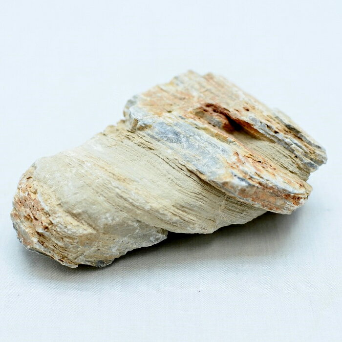 �ڥƥ�ꥦ�� �����ꥦ�� �� ���� �ݥƥ�ꥦ�� �ݥꥦ�� �������ꥦ�� �������ƥ�ꥦ�� ���տ�ʪ ��� �ϥ��ɥ�������㡼 �����ǥ˥� ���꡼�� ����ƥꥢ �� ���ߺ� ���� moss ŷ���� �� �쥤�����ȡ� ������SS�ʷ�����Ǥ�����ѥå��ͤ��