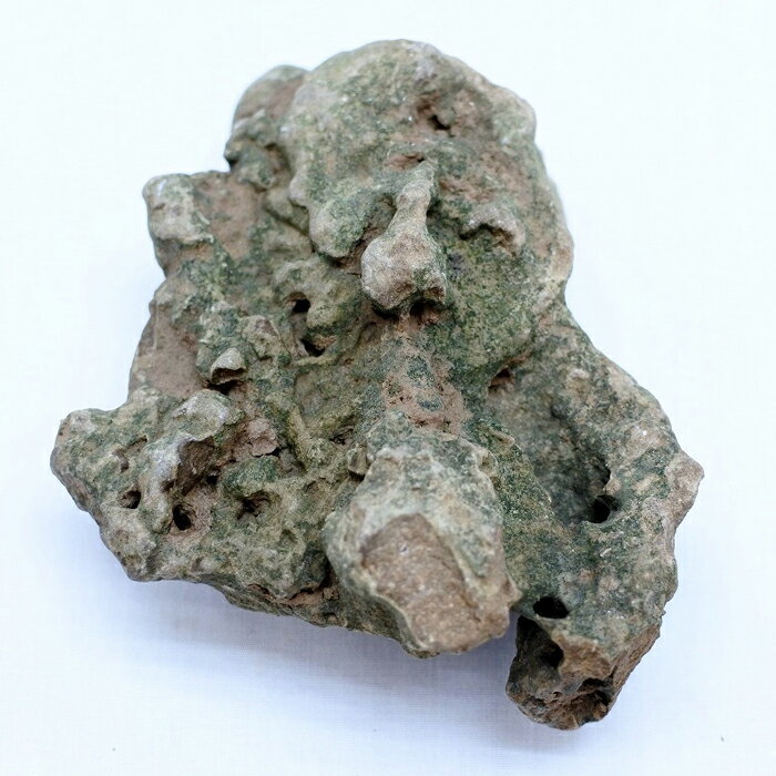 �ڥƥ�ꥦ�� �����ꥦ�� �� ���� �ݥƥ�ꥦ�� �ݥꥦ�� �������ꥦ�� �������ƥ�ꥦ�� ���տ�ʪ ��� �ϥ��ɥ�������㡼 �����ǥ˥� ���꡼�� ����ƥꥢ �� ���ߺ� ���� moss ŷ���� �� �쥤�����ȡ� ��ƻ��S(������Ǥ��)