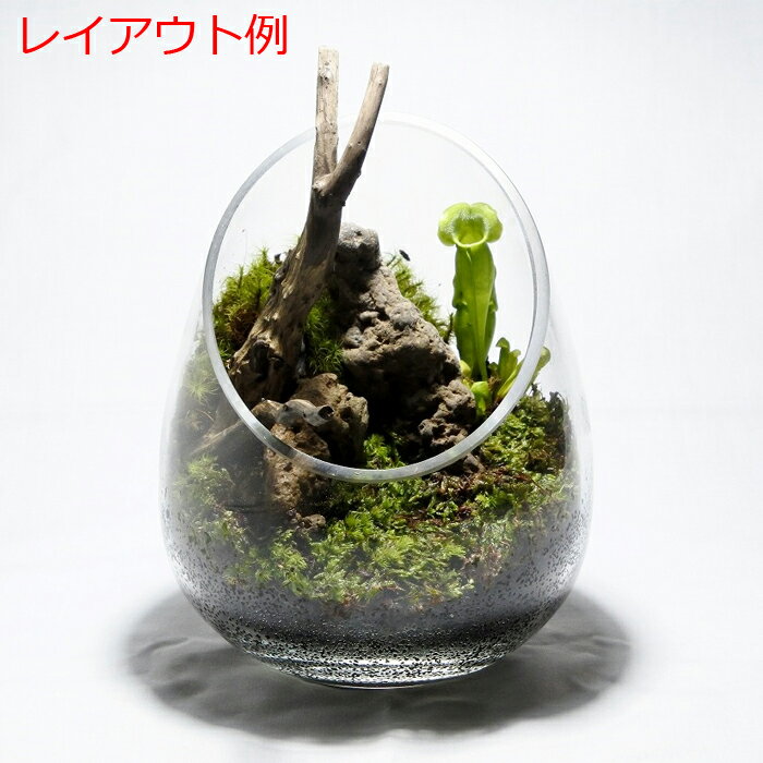 �ڥƥ�ꥦ�� �����ꥦ�� �� ���� �ݥƥ�ꥦ�� �ݥꥦ�� �������ꥦ�� �������ƥ�ꥦ�� ���տ�ʪ ��� �ϥ��ɥ�������㡼 �����ǥ˥� ���꡼�� ����ƥꥢ �� ���ߺ� ���� moss ŷ���� �� �쥤�����ȡ� ��ƻ��SS(������Ǥ�����ѥå��ͤ�)