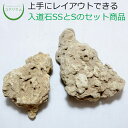 【テラリウム コケリウム 苔 コケ 苔テラリウム 苔リウム アクアリウム アクアテラリウム 観葉植物 園芸 ハイドロカルチャー ガーデニング グリーン インテリ...