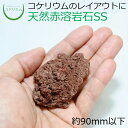 【テラリウム コケリウム 苔 コケ 苔テラリウム 苔リウム アクアリウム アクアテラリウム 観葉植物 園芸 ハイドロカルチャー ガーデニング グリーン インテリ...