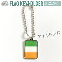 アイルランド 国旗 キーホルダー / ミニかく ( 世界の 国旗 / 四角 角形 / ラグビー サッカー ワールドカップ 代表 応援 )