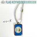 ベリーズ 国旗 キーホルダー / ミニかく ( 世界の 国旗 / 四角 角形 / ラグビー サッカー ワールドカップ 代表 応援 )