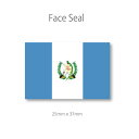 グアテマラ 国旗 フェイス ペイント