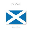 スコットランド 旗　フェイス ペイ