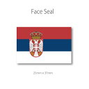 セルビア 国旗　フェイス ペイント 