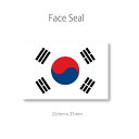 韓国 国旗 フェイス ペイント シー