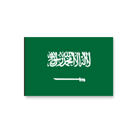サウジアラビア 国旗 フェイス ペイ