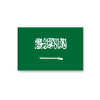 サウジアラビア 国旗 フェイス ペイント シール　 ＜医療テープと同じ粘着剤使用タイプ＞　 　（ 代表 ・ ラグビー サッカー ワールドカップ スポーツ 観戦 応援 ・ ボディ ペインティング タトゥーシール ）