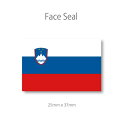 スロベニア　 国旗　フェイス ペイ