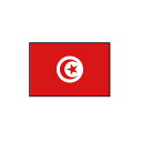 チュニジア 国旗　フェイス ペイン