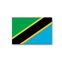 タンザニア 国旗　フェイス ペイン