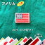 ڳŷѡSALE 10%OFFۡꥫ(ץ)  åڥ󡡡 ι ɽåץꥱݡ硡˥ե USA  