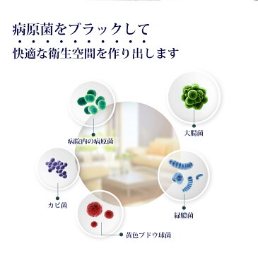 【翌日発送】除菌スプレー 詰め替え 1000ppm 1L 日本製 次亜塩素酸水 ウィルス対策 手指除菌 スプレー 除菌消臭スプレー ウイルス除去 消臭スプレー 感染予防 手 除菌消臭スプレー 衛生用品 99.99% 強力除菌 介護用 オフィス 会社 学校 家庭 キッチン 台所 トイレ 浴室