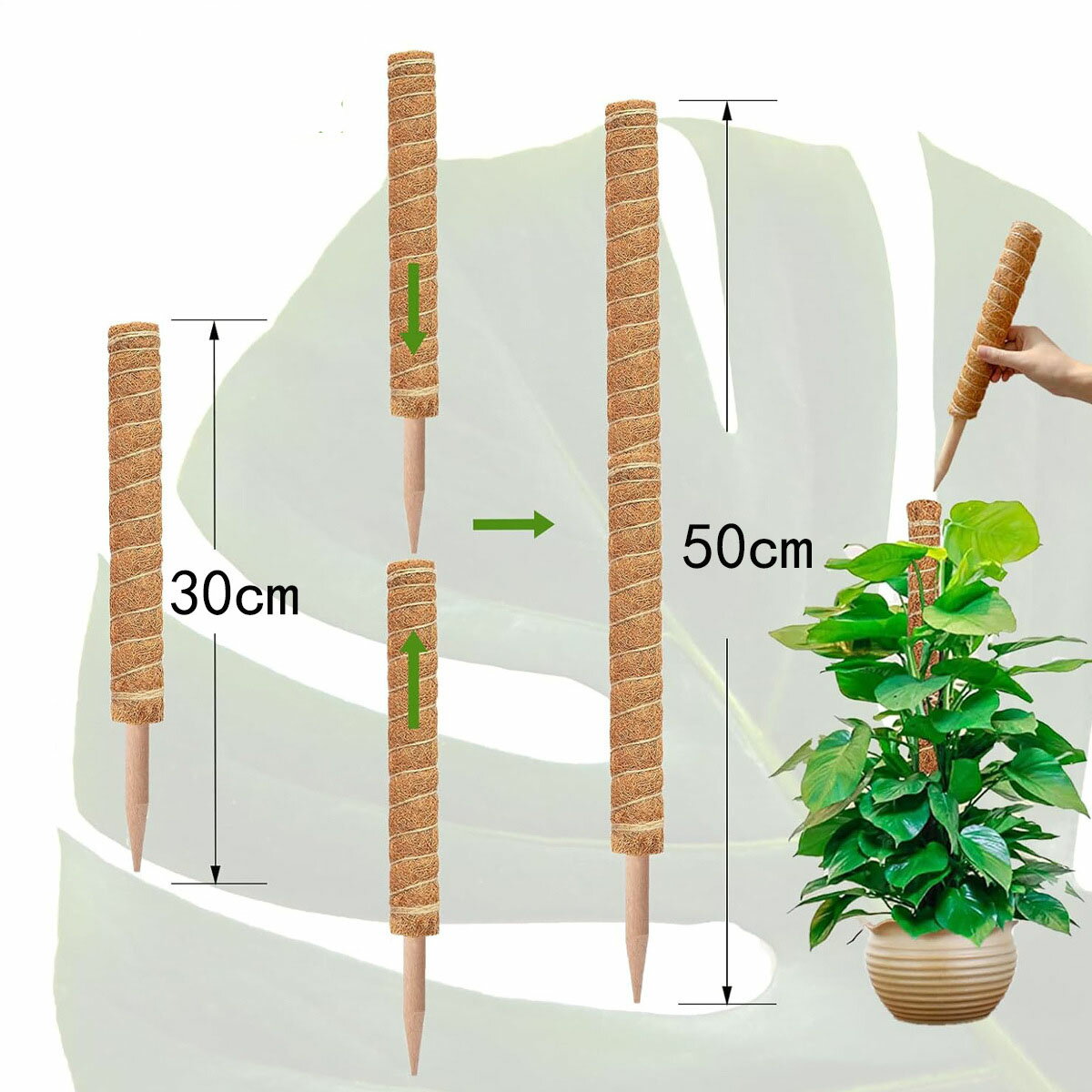 モンステラ 支柱 おしゃれ 観葉植物 支柱 ヘゴ支柱 ココスティック モンステラ ヘゴ 棒 ココナッツ ココヤシ 支柱 ココ スティック 園芸 支柱 フラワー ポトス 支柱 ガーデニング 植物サポート つる性植物 ポトス 支柱 おしゃれ 園芸用 高さ調整 頑丈 耐久