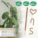 【楽天1位♪60cm 80cm 120cm】観葉植物 支柱 おしゃれ モンステラ 支柱 モンステラ支柱 ココスティック ロング ヘゴ スティック 曲げられる コ...