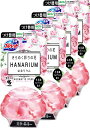 【まとめ買い】液体ブルーレットおくだけ きらめく彩りの花 はなリウム トイレタンク芳香洗浄剤 アロマティックローズの香り 詰め替え用 70ml×4個