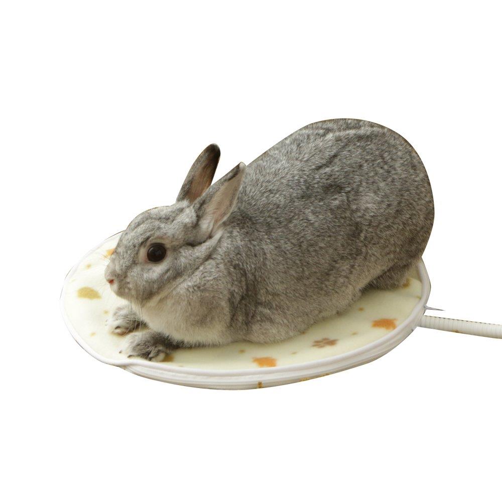 ꥹ  ڥåѥۥåȥڥå S ݷ PHK-S
