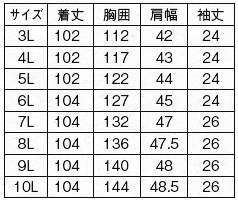 1111 ゆったり プリンセスラインワンピース (9L〜10L)【医療 ナース 看護 白衣 女性】