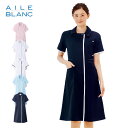 ブランスタイル ワンピース(S~4L) 【医療 ナース 看護師 エステ 美容 歯科 ユニフォーム 白衣 女性 シンプル ストレッチ きれい目 上品 透けにくい 楽 洗える 大きいサイズ ナースリー 人気 おすすめ】BC1003