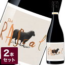 'The Rascal' Shiraz(hXJh V[Y) 2{y t{fB  I[XgA C XN[Lbv Mtg o^C zCgf[  a v[g ̓ җ  oY LO  AE j  ސE z