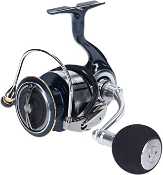 ダイワ(DAIWA) スピニングリール 19 セルテート LT5000D-CXH (2019モデル)