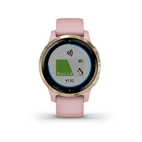 GARMIN vivoactive 4S Dust Rose/Light Gold 010-02172-37