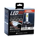 スフィアライト 純正HID用LEDヘッドライト D3S/D3R 6000K R専用シェード(遮光板)付属 10000lm SLGD3SR060